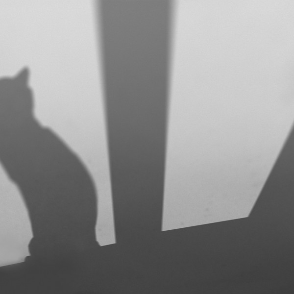 Im Spiel von Licht und Schatten