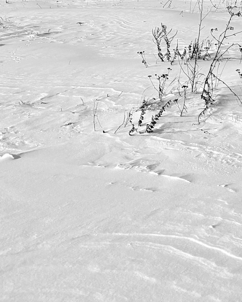 Die Kraft der Reduktion