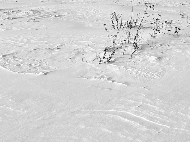 Die Kraft der Reduktion