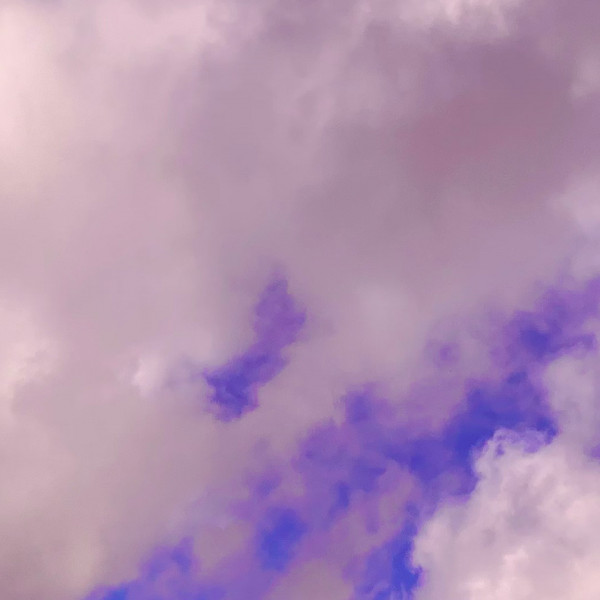 Die Sprache der Farben